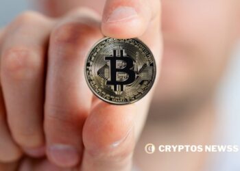 BTC Holders