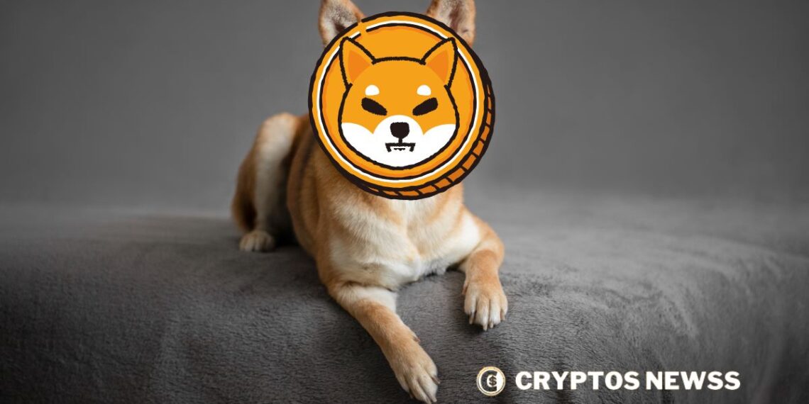 Shiba Inu
