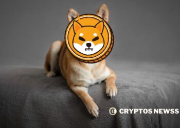 Shiba Inu