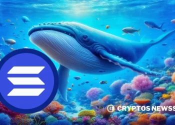 Solana Whale