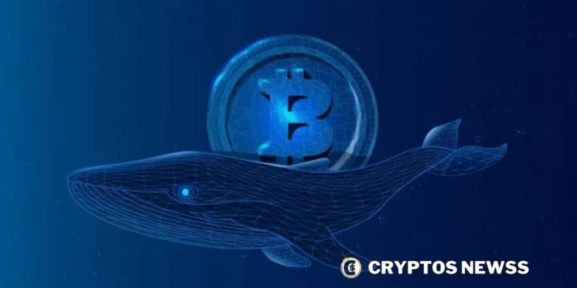 Bitcoin whales