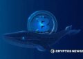Bitcoin whales