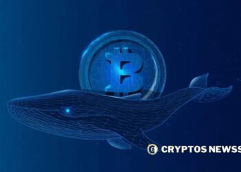 Bitcoin whales