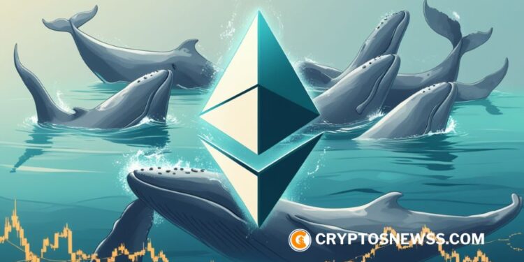 Ethereum Whales Accumulate $3.79B in ETH as Retail Investors Exit