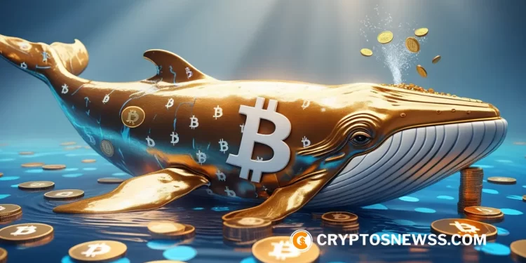Bitcoin whale