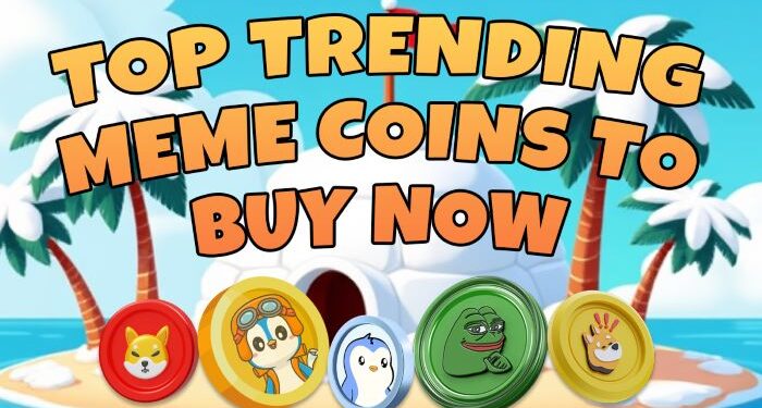 Not Just Hype: 3 Best Meme Coins to Join for Long Term with Real Growth Potential