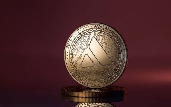 Avalanche and Cronos Ignite the Next Wave as BullZilla Emerges Among Best Crypto Presales Now