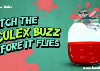 The Rise of La Culex: The 1000x Meme Coin in 2025 Turning Hyperliquid’s Woes and Sui’s Wealth into the Year’s Biggest Presale Buzz