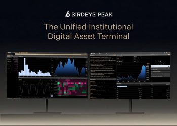Birdeye Launches Peak, Giving Allocators A Limitless Market Terminal