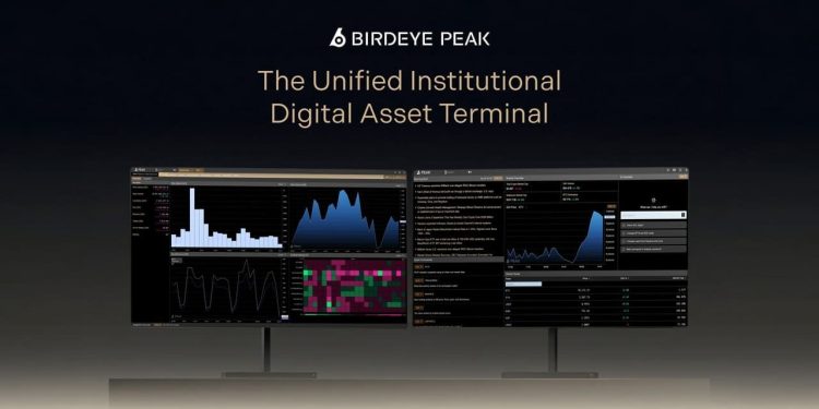 Birdeye Launches Peak, Giving Allocators A Limitless Market Terminal